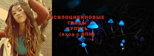 МДМА Каменка