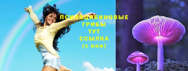2c-b Карпинск