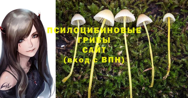 винт Каменск-Шахтинский