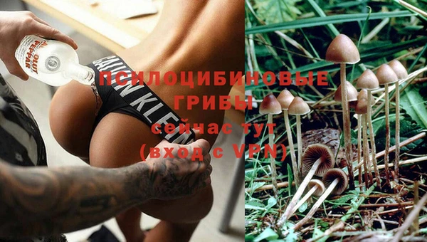 МДМА Каменка