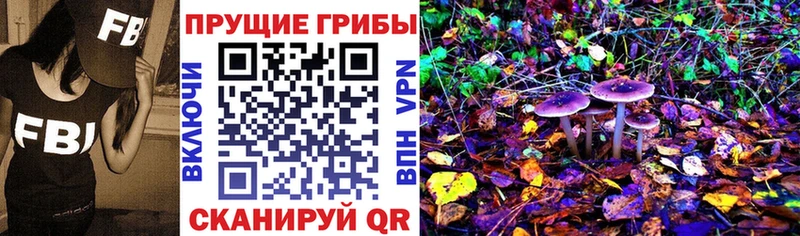 Галлюциногенные грибы Magic Shrooms  Купить  Лихославль 